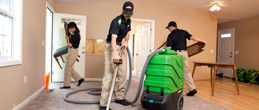 Chicago Heights, IL cleaning services